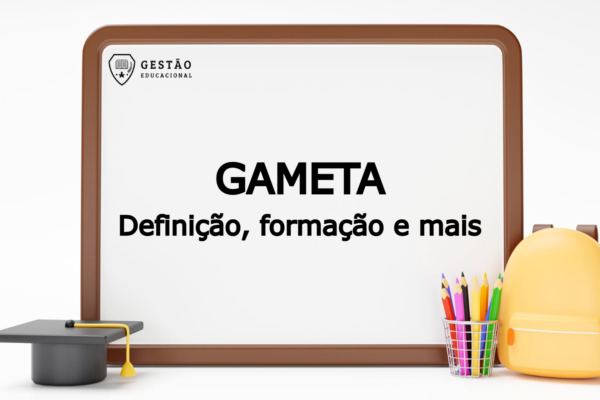 O que é Gameta? Definição, formação e mais! 