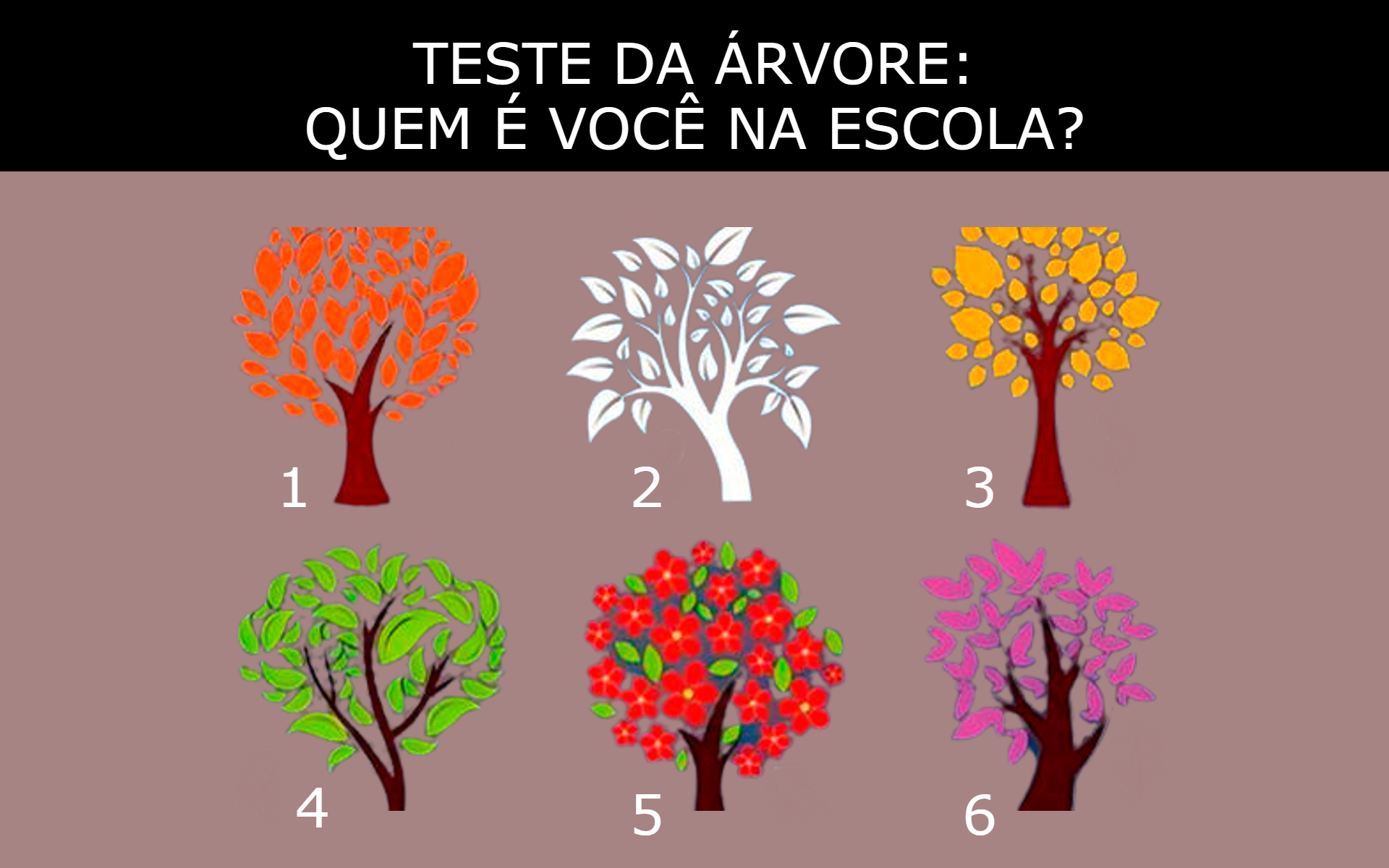 Quem é você na escola? Escolha uma árvore e descubra agora mesmo! 